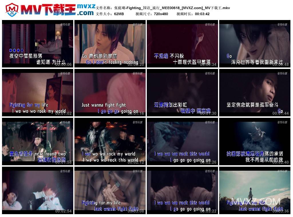 张庭瑚-Fighting_国语_流行_MEE00618